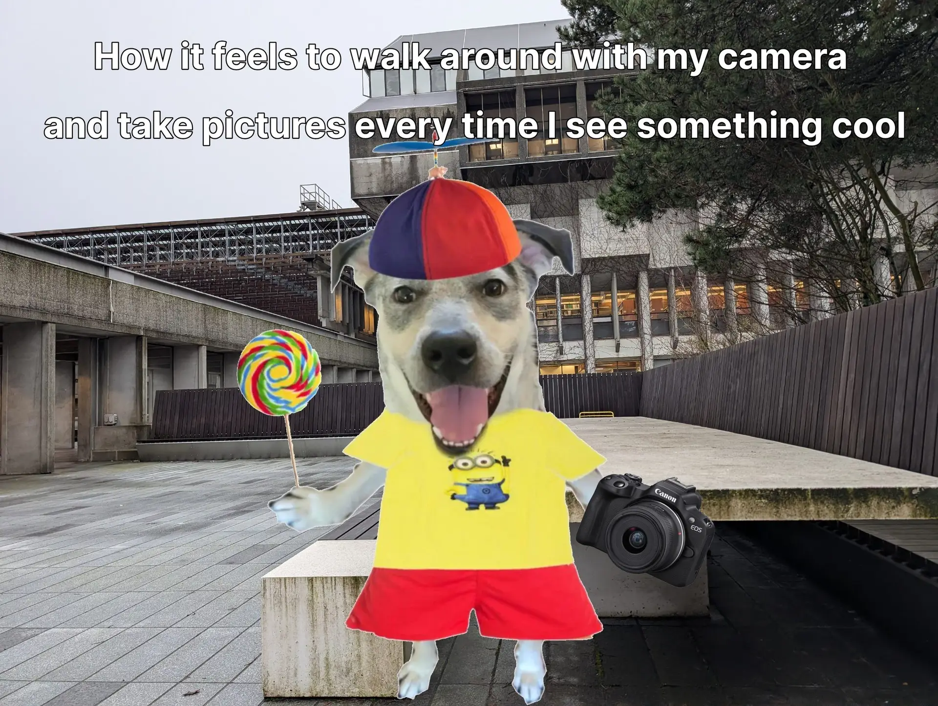 Mini Assignment #1: Meme