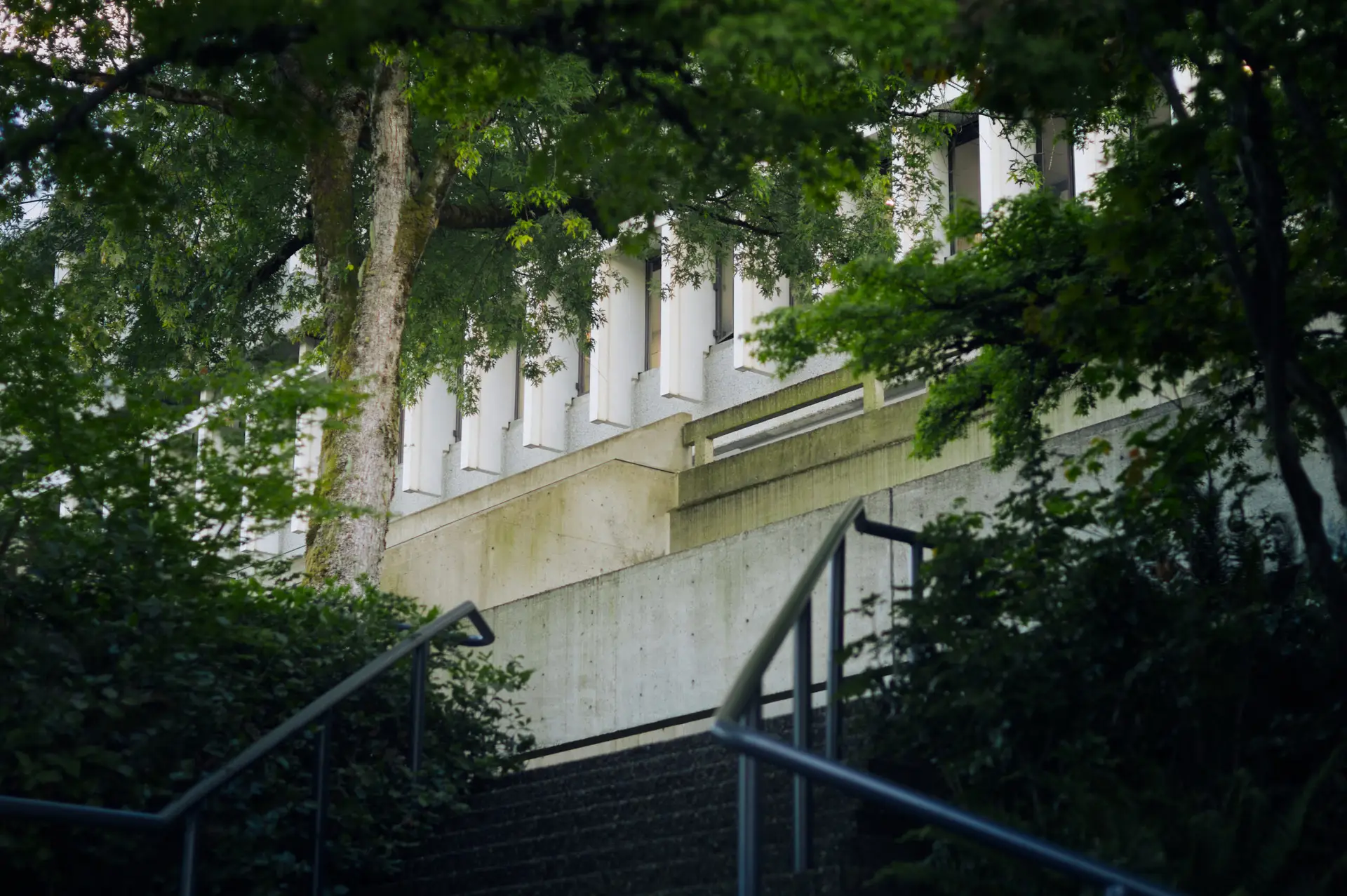 Finding Beauty in Brutalism